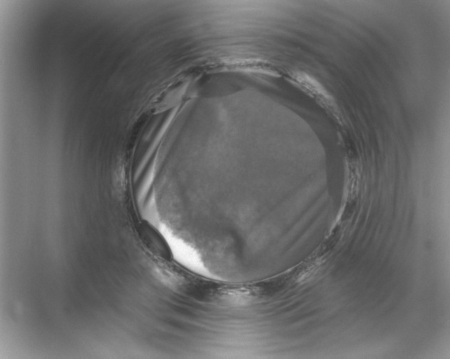X0000067880405200605041839