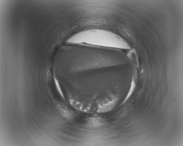 X0000067880408200605041839