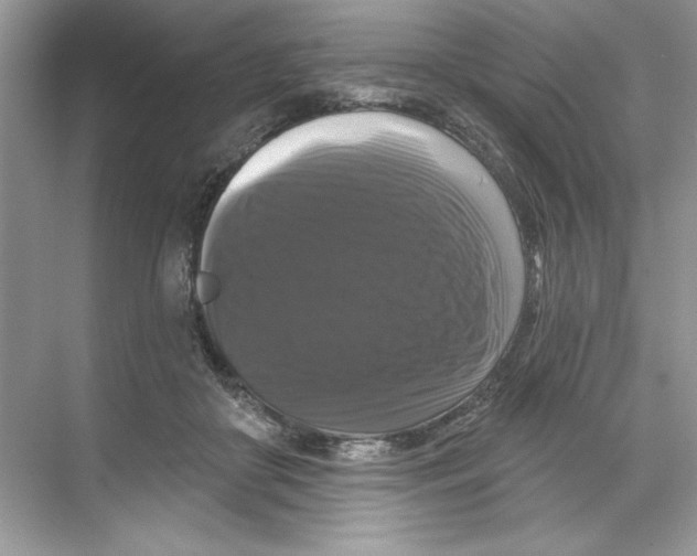 X0000067880410200605041839