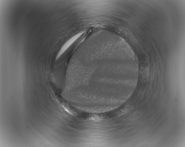 X0000067880416200605041839