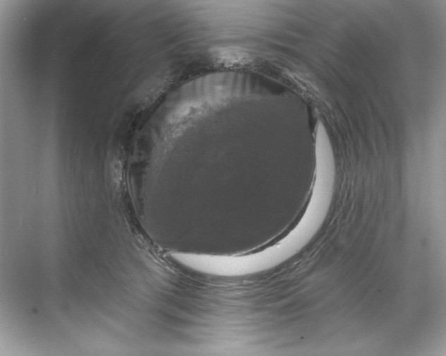 X0000067880417200605041839