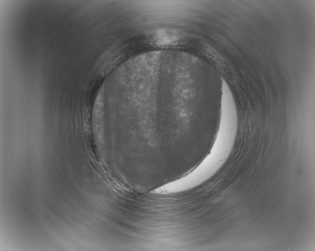 X0000067880421200605041839