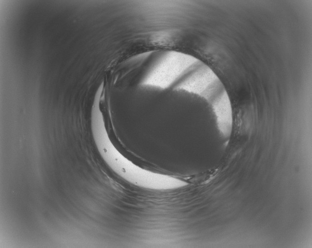 X0000067880424200605041839