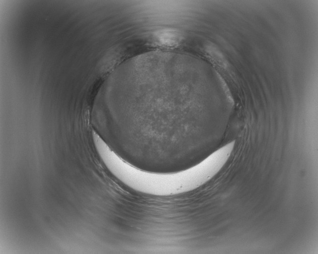 X0000067880425200605041839