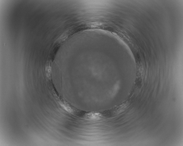 X0000067880427200605041839