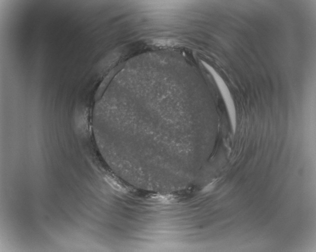 X0000067880428200605041839