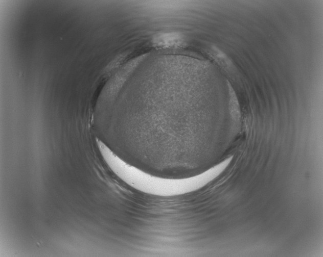 X0000067880429200605041839