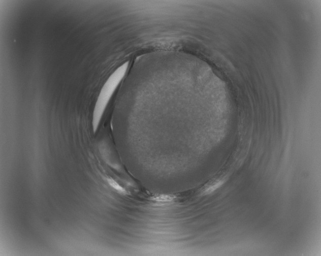 X0000067880432200605041839