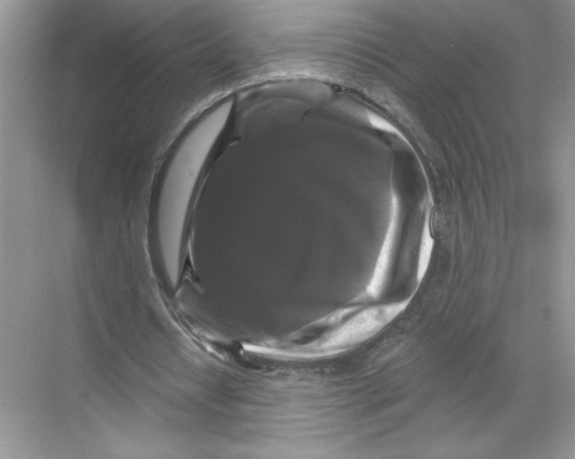 X0000067880434200605041838