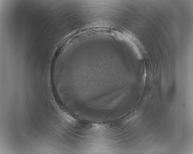 X0000067880442200605041838