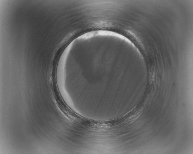 X0000067880443200605041838