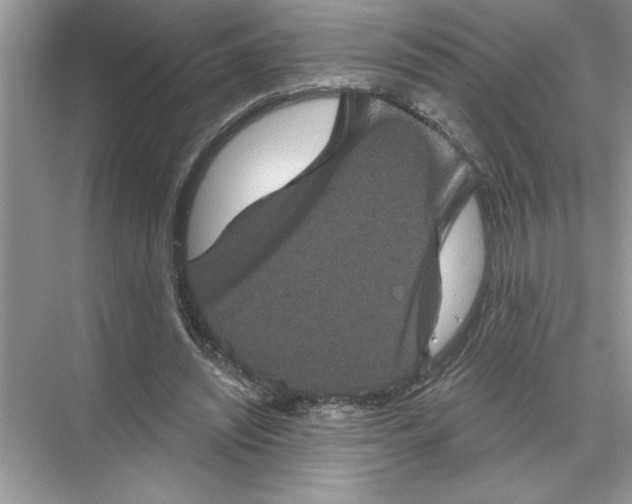 X0000067880444200605041838