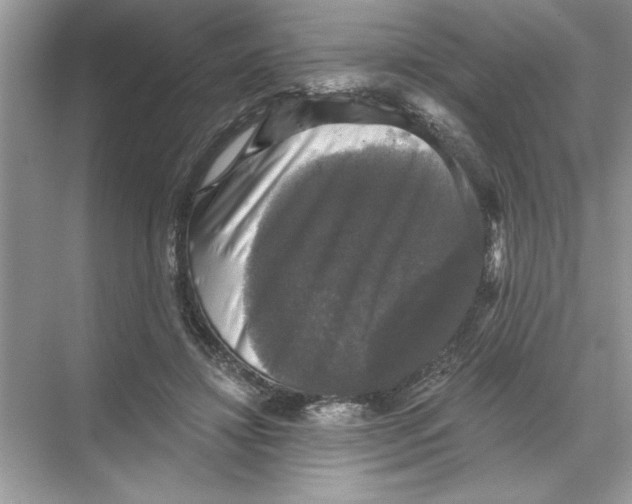 X0000067880452200605041838