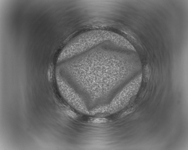 X0000067880463200605041838