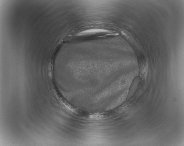 X0000067880470200605041838