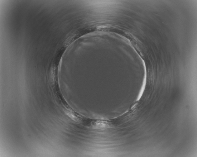 X0000067880475200605041838