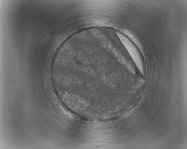 X0000067880481200605041838