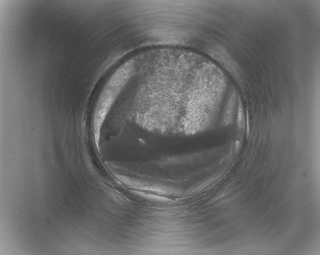 X0000067880483200605041838