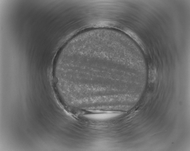 X0000067880485200605041838