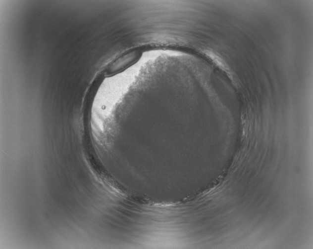 X0000067880488200605041838