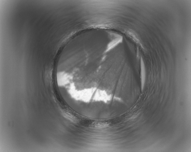 X0000067880491200605041838