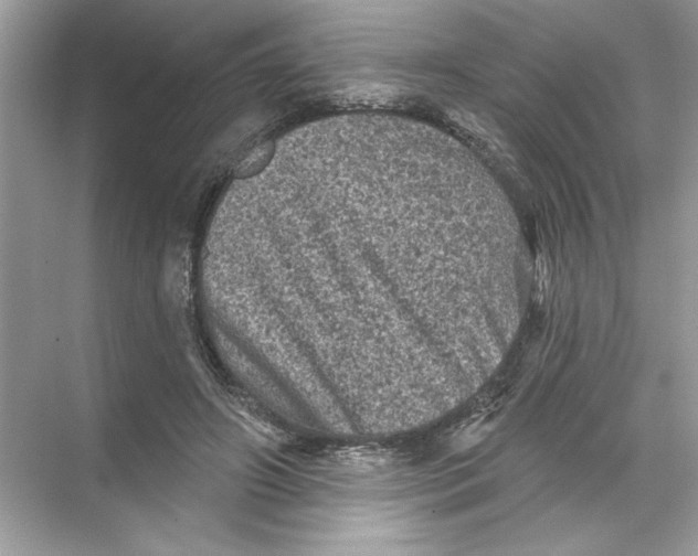 X0000067880498200605041837