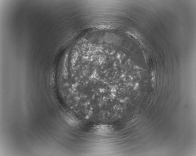 X0000067880499200605041837