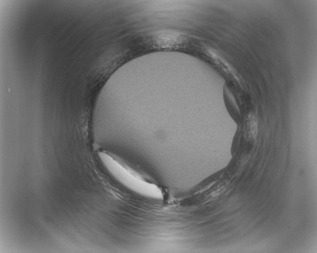 X0000067880505200605041837