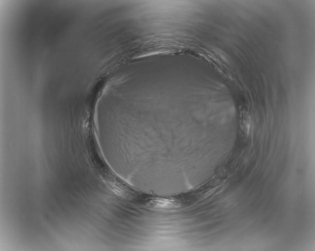 X0000067880507200605041837