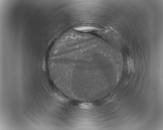 X0000067880508200605041837