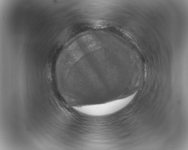 X0000067880512200605041837