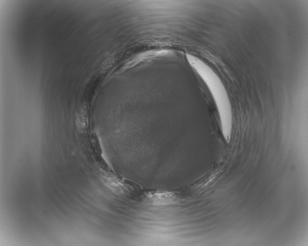 X0000067880517200605041837