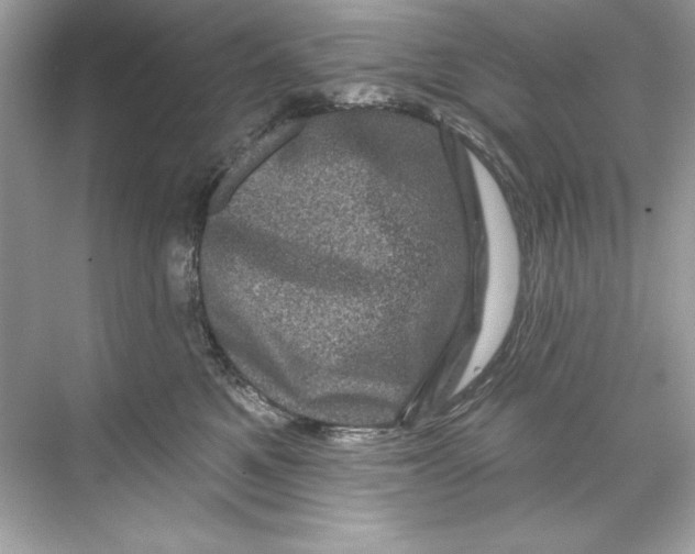 X0000067880521200605041837