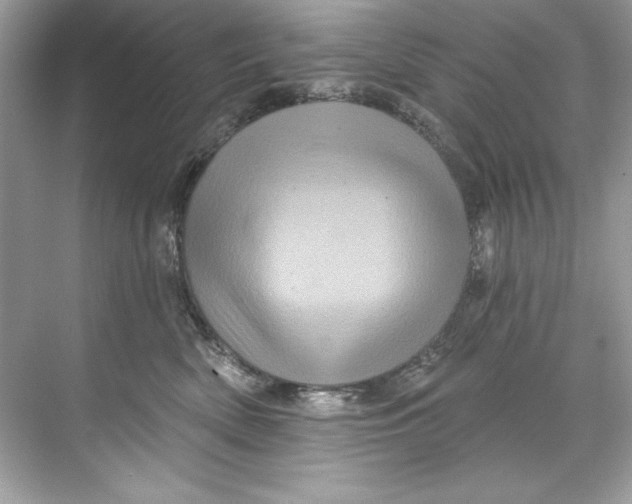 X0000067880522200605041837