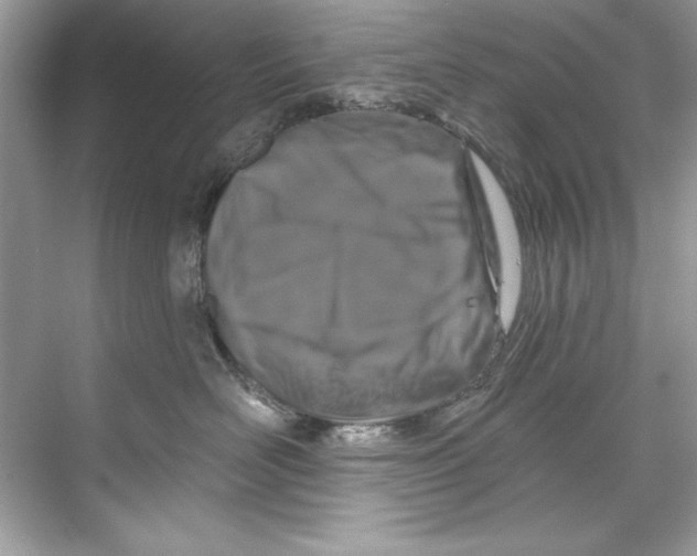 X0000067880526200605041837