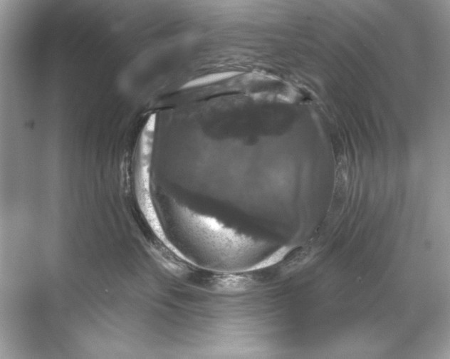 X0000067880527200605041837