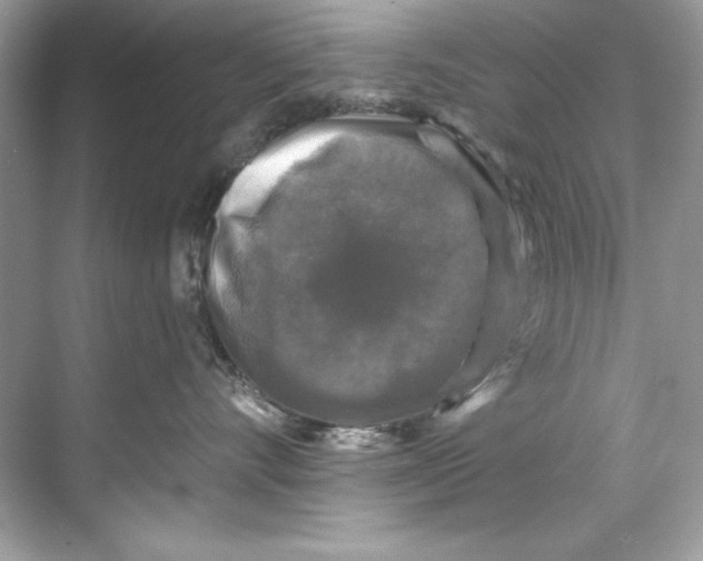 X0000067880528200605041837