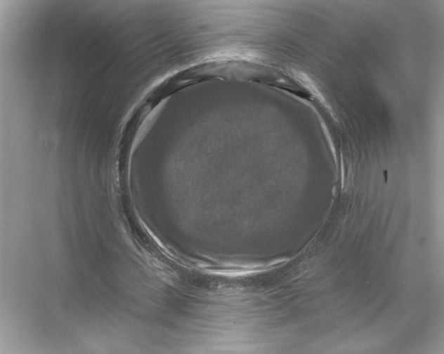 X0000067880531200605041836