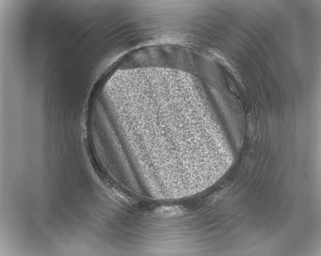 X0000067880536200605041836