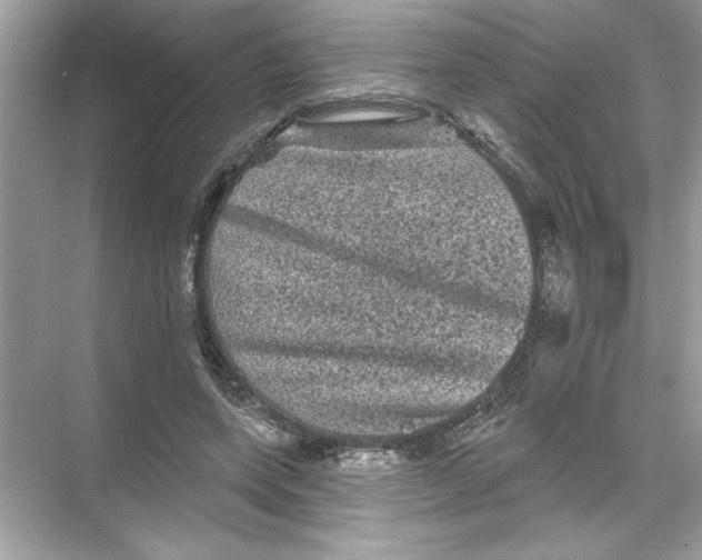 X0000067880543200605041836