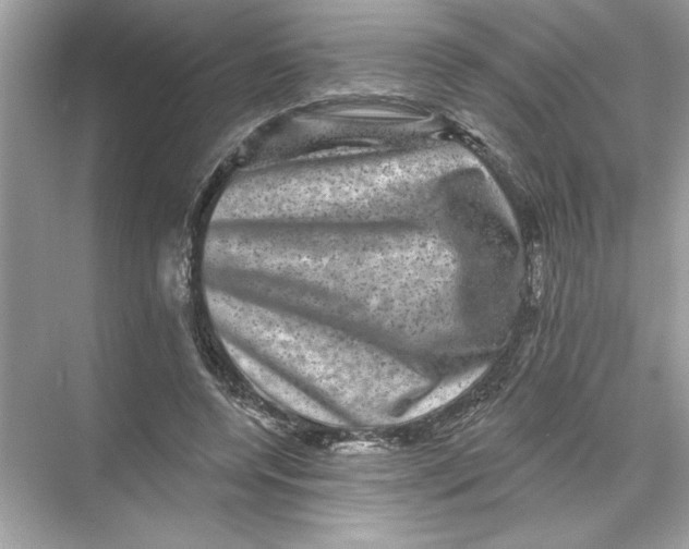 X0000067880544200605041836
