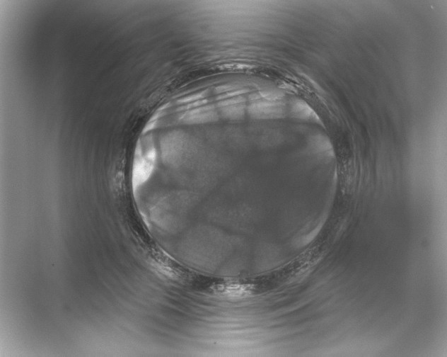 X0000067880553200605041837