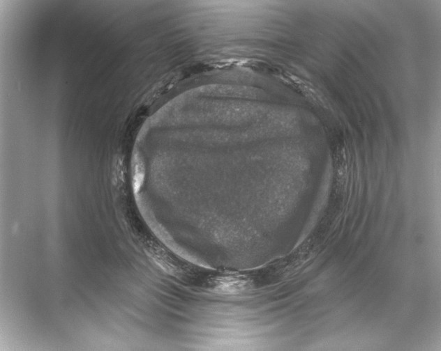 X0000067880555200605041837