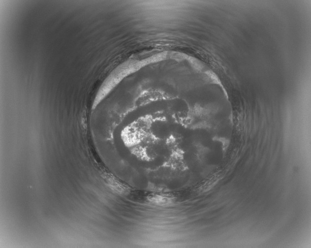 X0000067880561200605041837