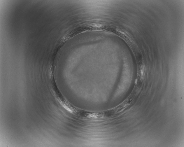X0000067880568200605041837