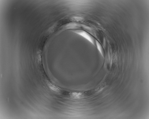 X0000067880570200605041837