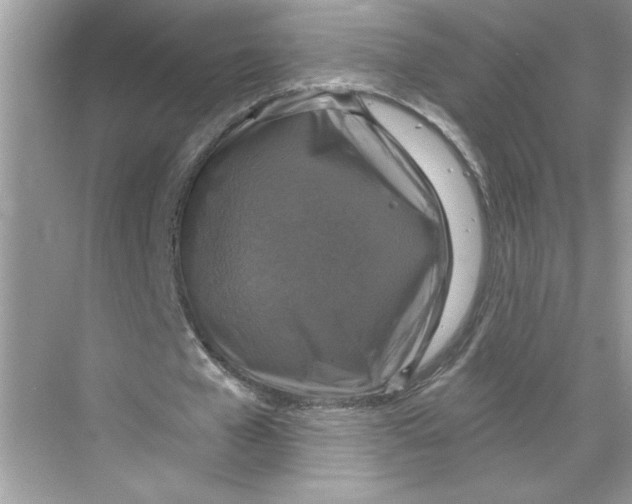 X0000067880577200605041836
