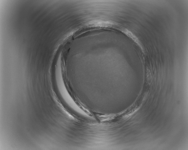 X0000067880581200605041836