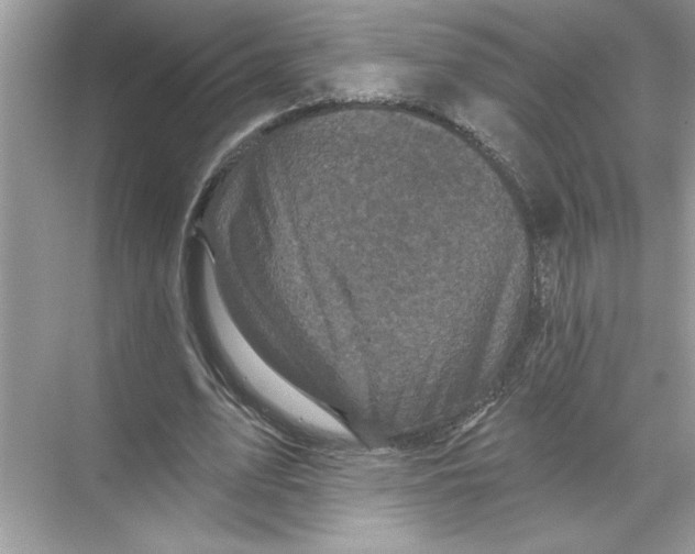 X0000067880583200605041836