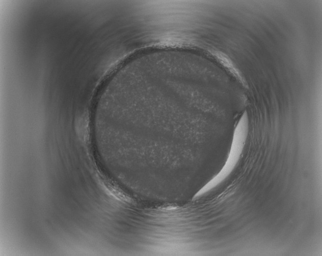 X0000067880588200605041836